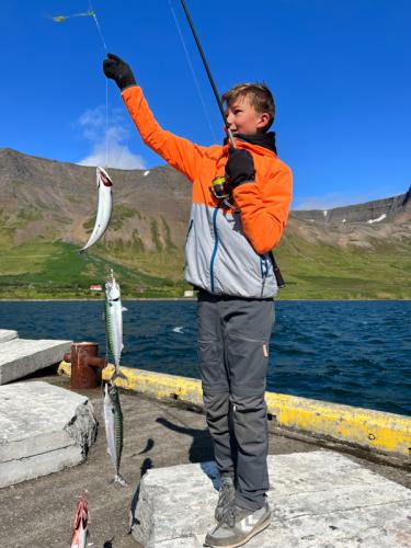 wellenbrecher-nordatlantik-angeln-westfjorde-07