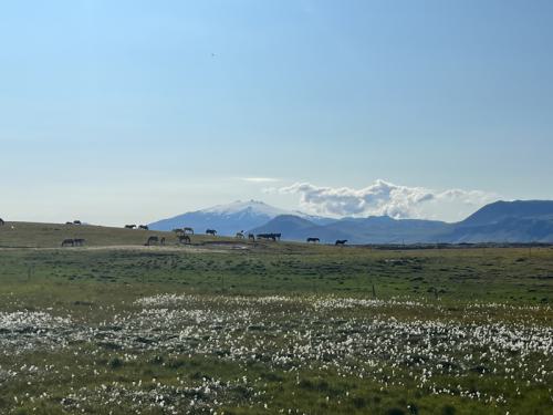 wellenbrecher-nordatlantik-snaefellsjökull-00