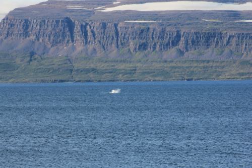 wellenbrecher-nordatlantik-westfjorde-06
